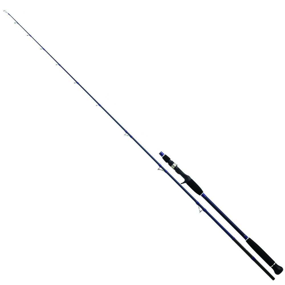 Daiwa Exceler Oceano 198cm MAX250 Olta Kamışı (EXOJG662XHBAF)