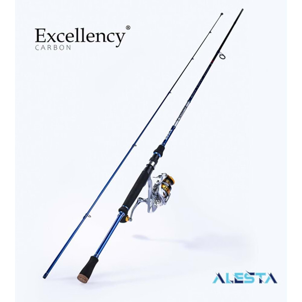 ALESTA EXCELLENCY 210 CM 5-14G LXF 2P KARBON