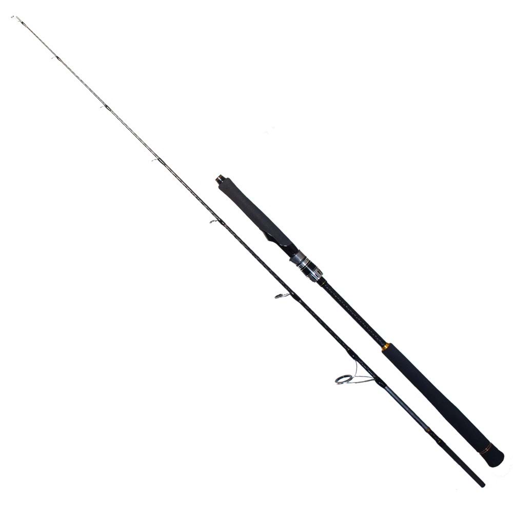 Ryuji Seawolf 1.98 M 30-150 Gr 2P Jig Olta Kamışı