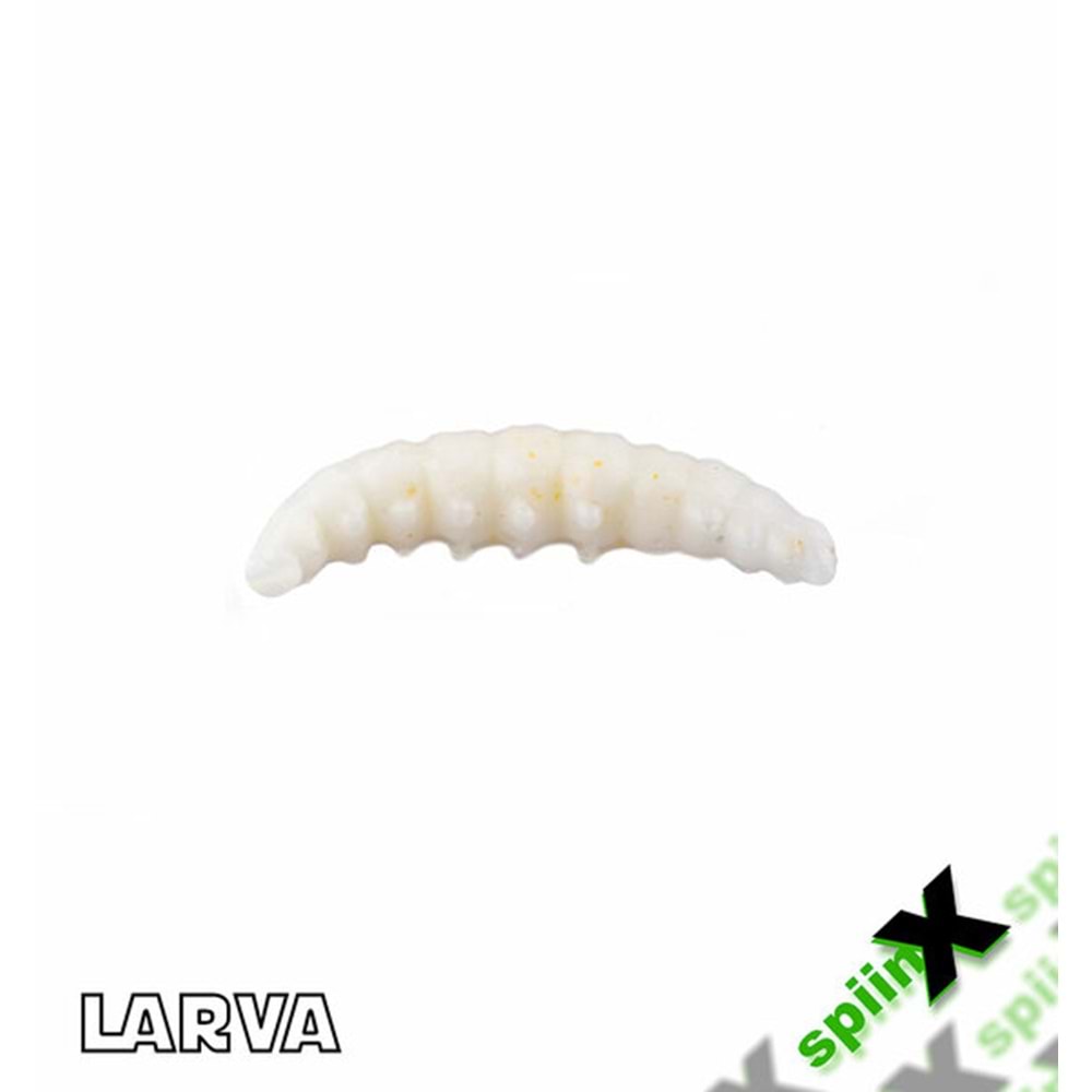 Spıınx Larva 35 mm 14 Adet Peynirli All Glow 61