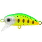 116 Trout Clow