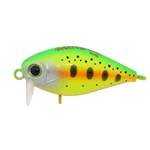 SB-144 Trout Clow