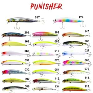 Fujin Punisher Maket Balık PN105SW 174 ZB Rainbow