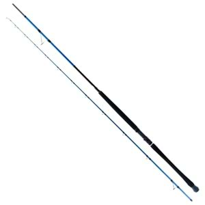 RYUJİ SHORE GAME FUJİ 2.85M 25-85 GR 2 P SHORE JİG KAMIŞI