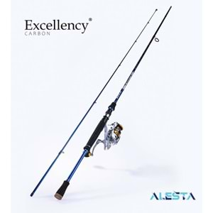 ALESTA EXCELLENCY 210 CM 5-14G LXF 2P KARBON