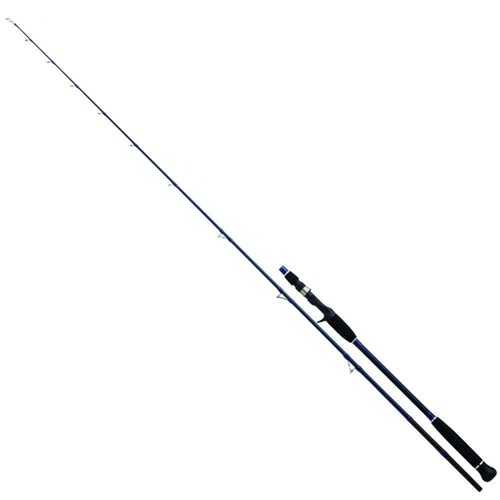 Daiwa Exceler Oceano 198cm MAX250 Olta Kamışı (EXOJG662XHBAF)