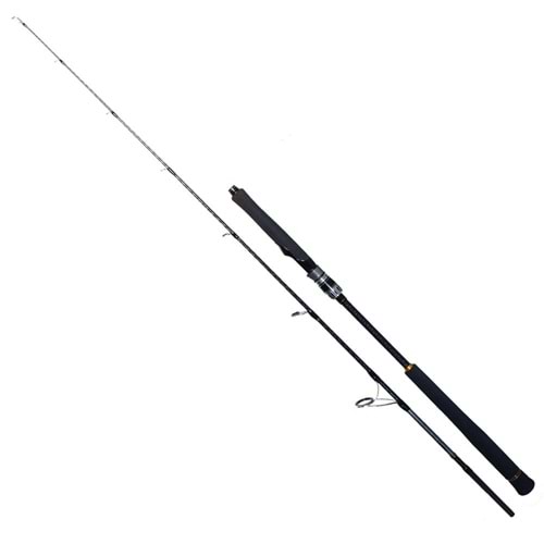 Ryuji Seawolf 1.98 M 30-150 Gr 2P Jig Olta Kamışı