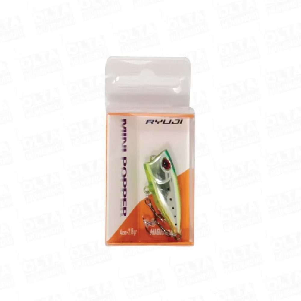 RYUJI MINI POPPER 4CM 2,8GR SHİNY